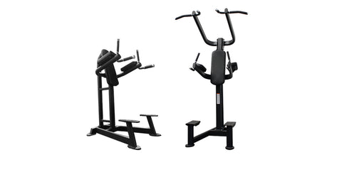 Chin Up & Dip Stations