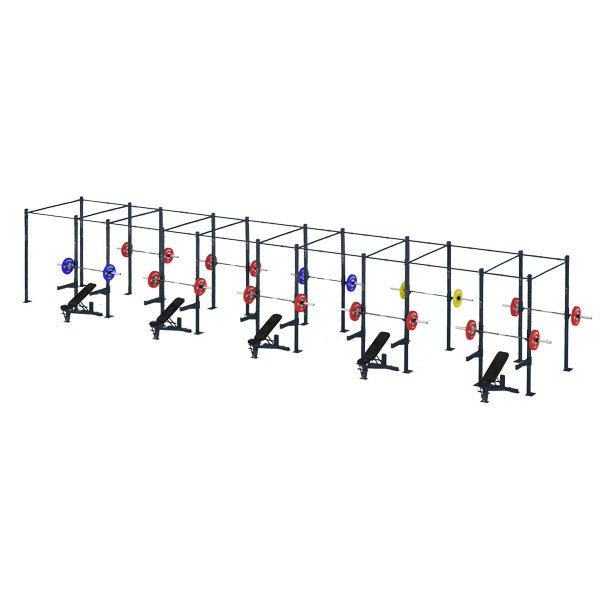 Perfect Cell Rigs Competition Series 10 Cell Rig Cs-Fr10C – Commercial Fitness Equipment