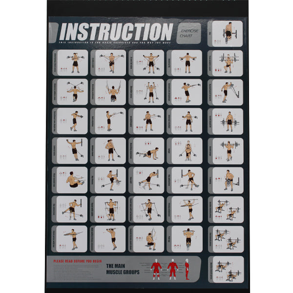 TITANIUM USA G50 FUNCTIONAL SMITH MACHINE EXERCISE CHART – Commercial ...