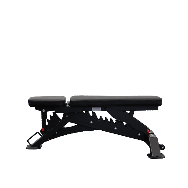 Bench Predator Commercial Adjustable Benches For Sale – Commercial Fitness Equipment